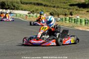 DSC_7222 copie
